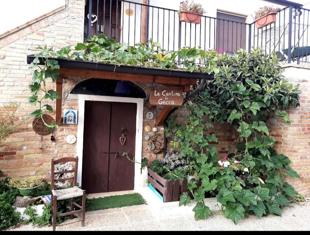 B&B La Casa In Campagna Collecorvino Ngoại thất bức ảnh