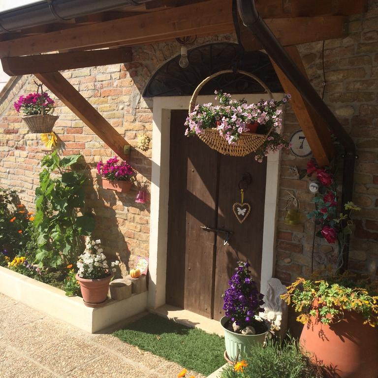B&B La Casa In Campagna Collecorvino Ngoại thất bức ảnh