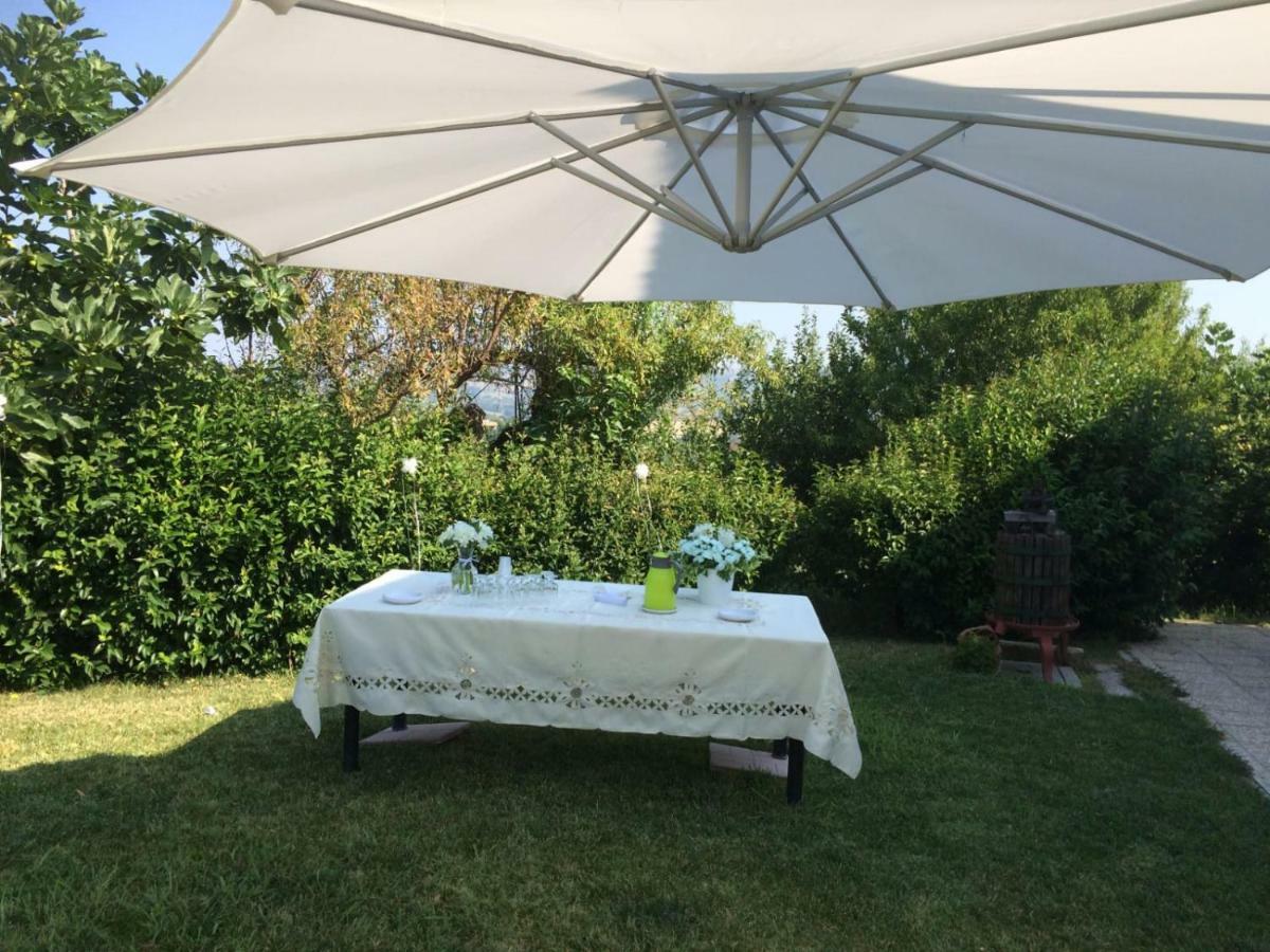 B&B La Casa In Campagna Collecorvino Ngoại thất bức ảnh